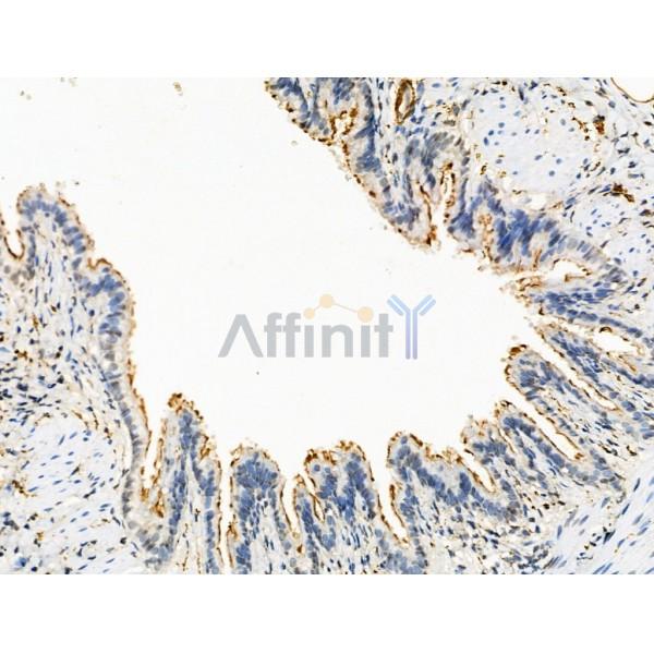 Валидация Affinity DF13356 - 8572