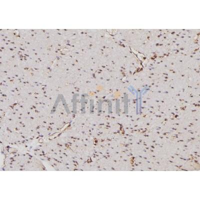 Валидация Affinity DF3317 - 14183