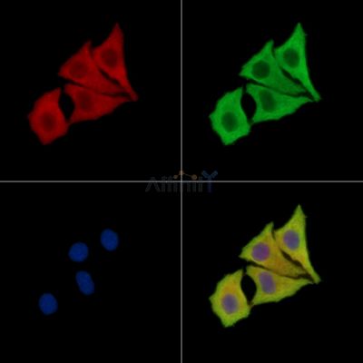 Валидация Affinity DF15727 - 12201