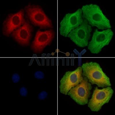 Валидация Affinity DF13272 - 8371