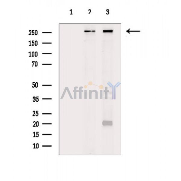 Валидация Affinity DF6831 - 18401