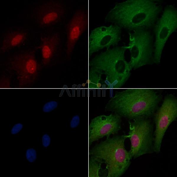 Валидация Affinity DF6926 - 18530