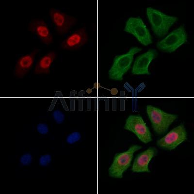 Валидация Affinity AF6090 - 3299