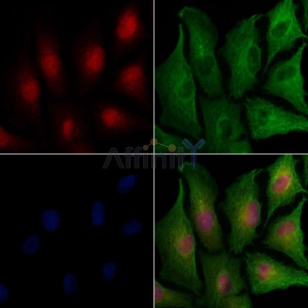 Валидация Affinity AF6815 - 4055