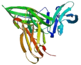 Interleukin 6 Receptor (IL6R) Interleukin 6 Receptor (IL6R)