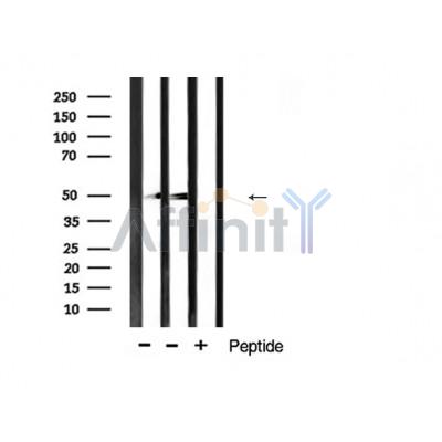 Валидация Affinity AF5334 - 2912