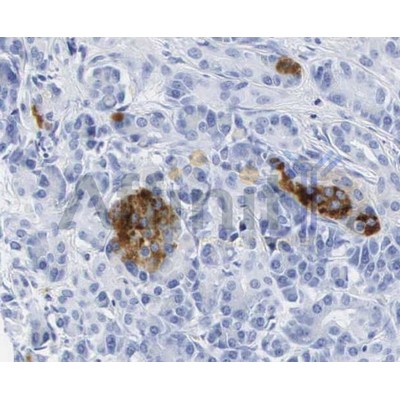 Валидация Affinity AF5109 - 2466