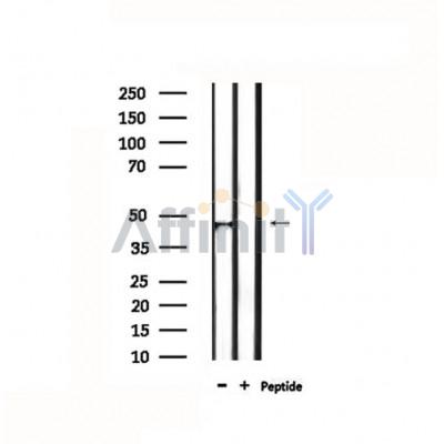 Валидация Affinity DF4709 - 16398