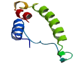 Lysophosphatidic Acid Receptor 6 (LPAR6) Lysophosphatidic Acid Receptor 6 (LPAR6)