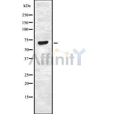 Валидация Affinity AF6453 - 3772