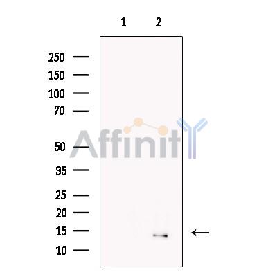 Валидация Affinity DF13445 - 8776