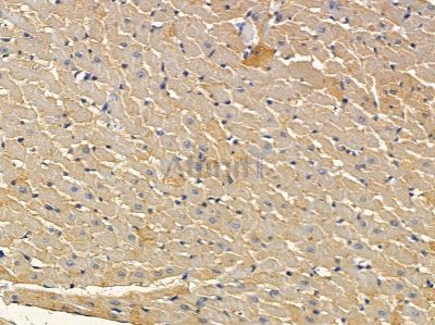 Валидация Affinity DF7680 - 19450