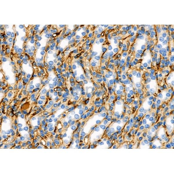 Валидация Affinity DF6369 - 17719