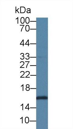 9241