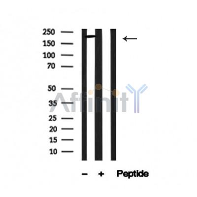 Валидация Affinity AF4698 - 2314