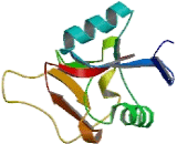 Asialoglycoprotein Receptor 2 (ASGR2) Asialoglycoprotein Receptor 2 (ASGR2)