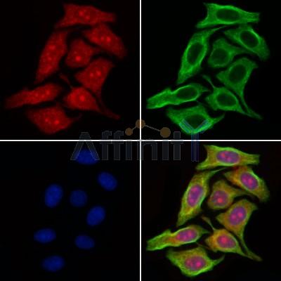 Валидация Affinity AF6080 - 3283