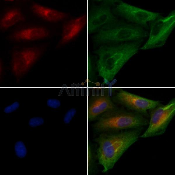 Валидация Affinity DF6240 - 17525