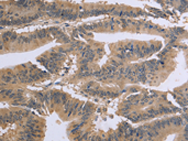 Валидация AssayVector ARM1093(264)