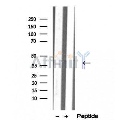 Валидация Affinity DF12291 - 6652