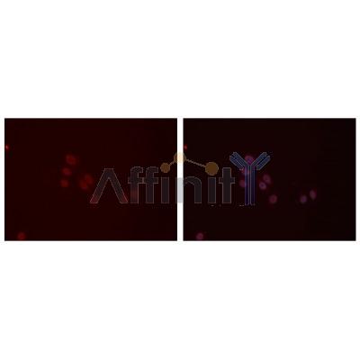 Валидация Affinity DF7155 - 18808