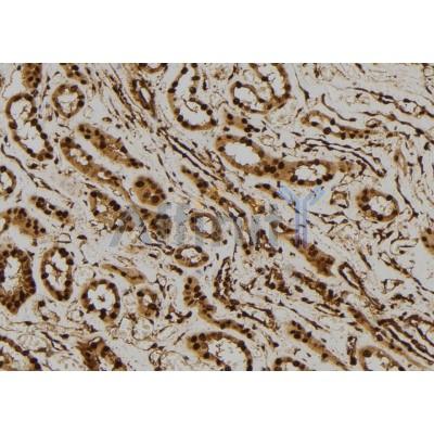 Валидация Affinity DF7276 - 18943