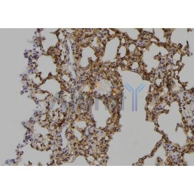 Валидация Affinity AF5444 - 3088