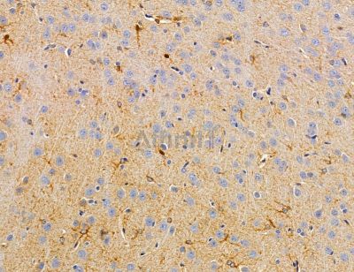 Валидация Affinity DF14689 - 10744