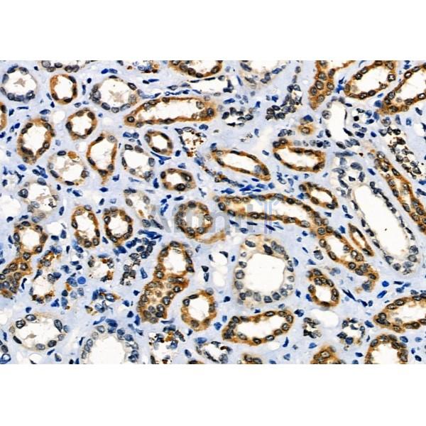 Валидация Affinity DF7692 - 19475