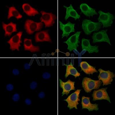 Валидация Affinity DF12963 - 7731