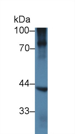10375
