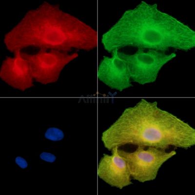 Валидация Affinity DF15145 - 11409