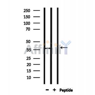 Валидация Affinity DF9879 - 22823