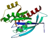 RAB27A, Member RAS Oncogene Family (RAB27A)