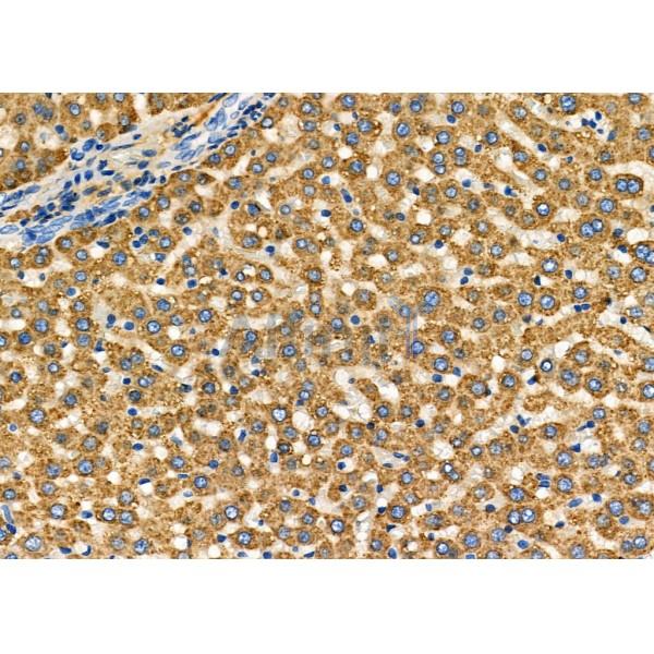 Валидация Affinity DF7895 - 19721