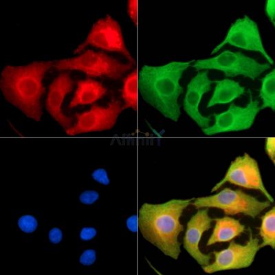 Валидация Affinity DF13842 - 9542