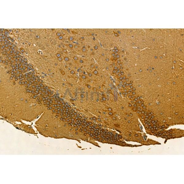 Валидация Affinity DF7561 - 19315