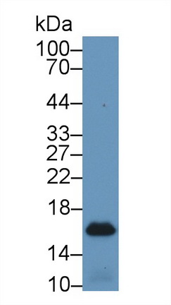 9199