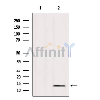 Валидация Affinity DF2477 - 13119