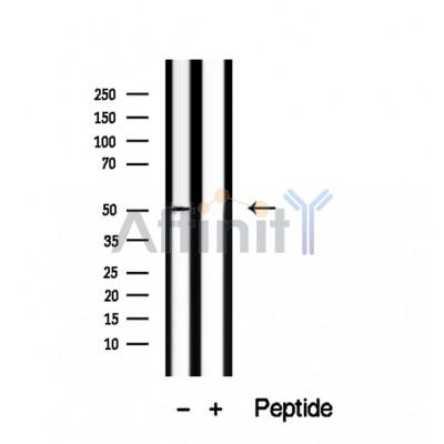 Валидация Affinity DF12490 - 7061