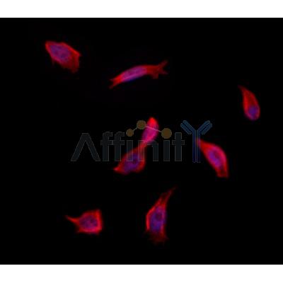 Валидация Affinity DF12412 - 6908