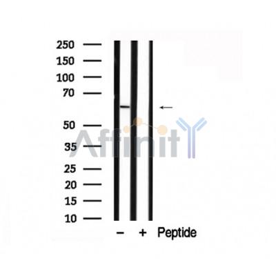 Валидация Affinity AF7874 - 4614