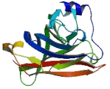 Gamma-Aminobutyric Acid A Receptor Beta 1 (gABRb1) Gamma-Aminobutyric Acid A Receptor Beta 1 (gABRb1)