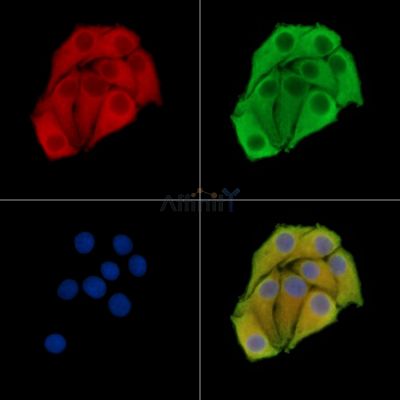 Валидация Affinity DF14594 - 10608