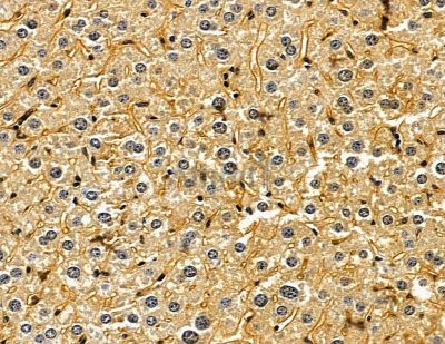 Валидация Affinity DF14842 - 10972