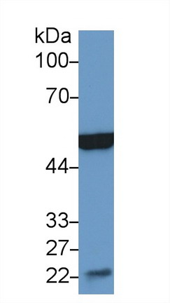 9486