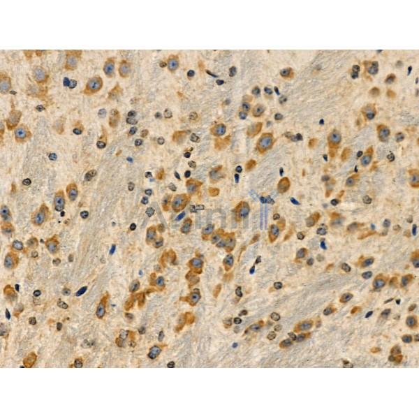 Валидация Affinity DF3994 - 15232