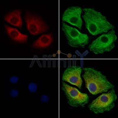 Валидация Affinity DF9100 - 21400