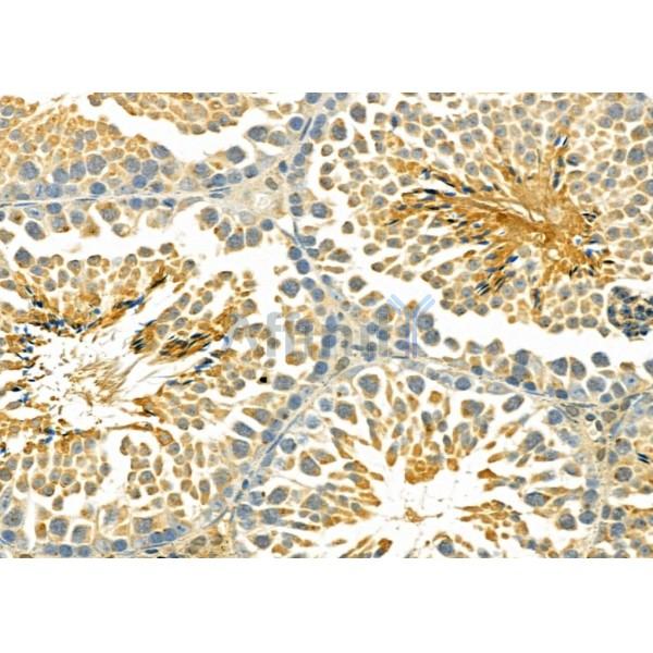 Валидация Affinity DF4853 - 16624