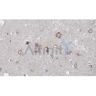 Валидация Affinity DF8900 - 21015